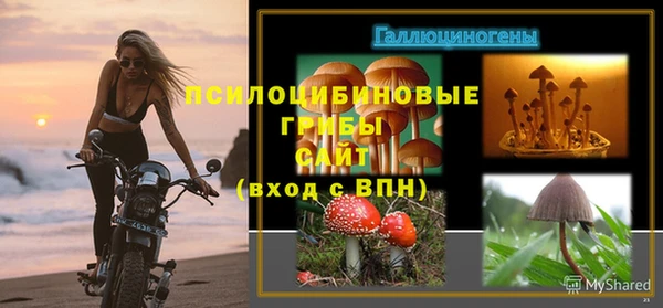 ALPHA PVP Заводоуковск